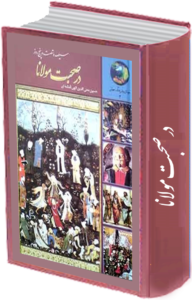 در صحبت مولانا