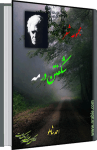 شکفتن در مه . احمد شاملو